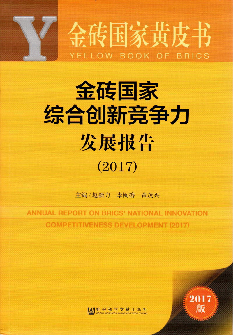 扣逼喷潮免费片金砖国家综合创新竞争力发展报告（2017）